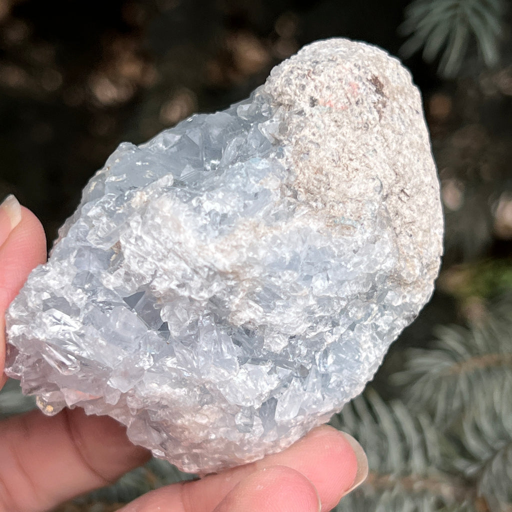 Celestit / celestina cluster m1, pietre semipretioase - druzy.ro 5 