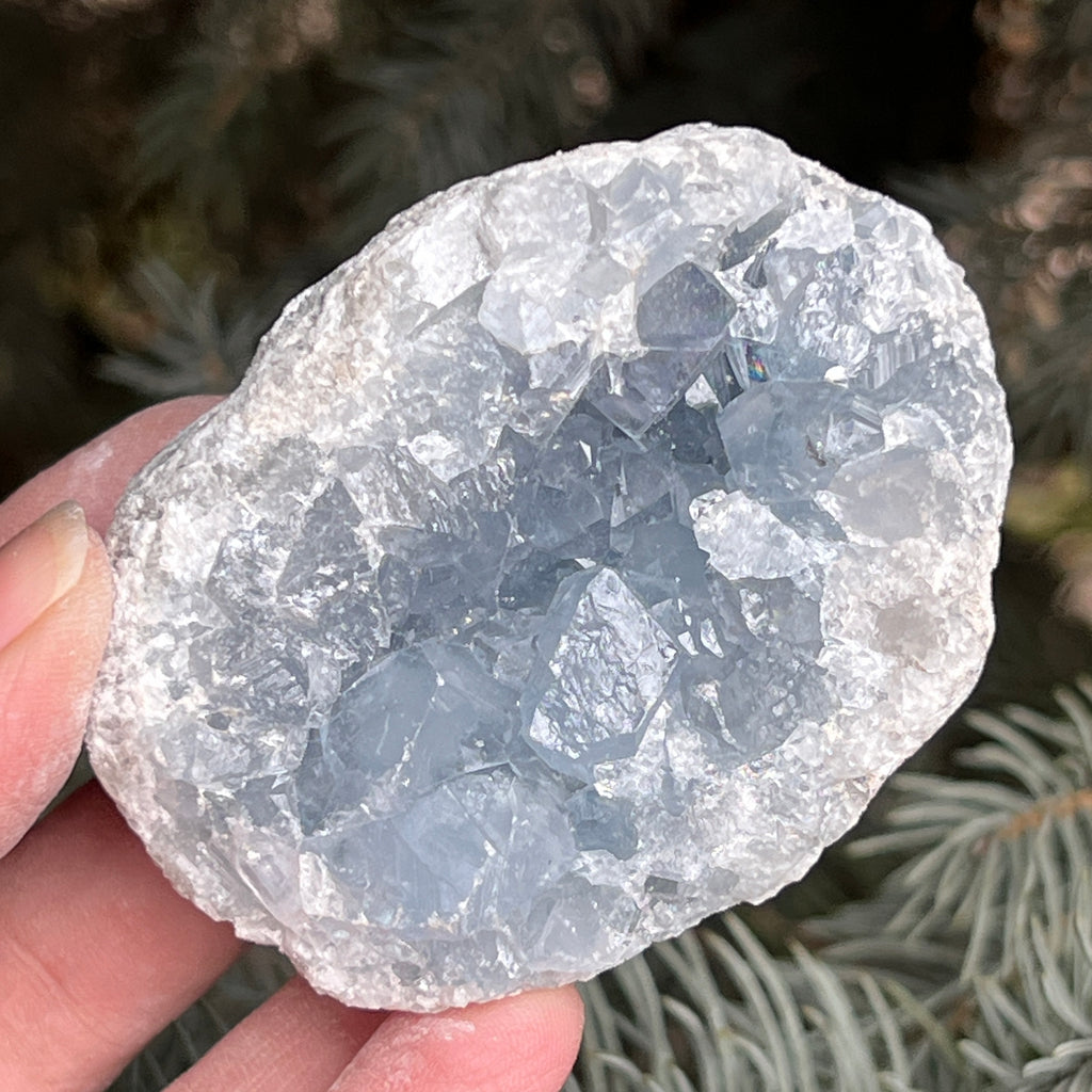 Celestit / celestina cluster m22, pietre semipretioase - druzy.ro 5 