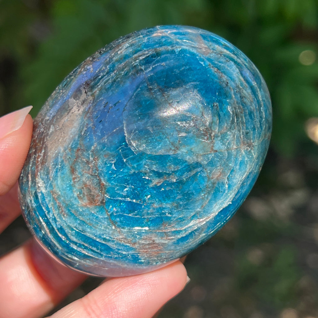 Apatit rulat palmstone | Model 17, pietre semipretioase - druzy.ro 1 