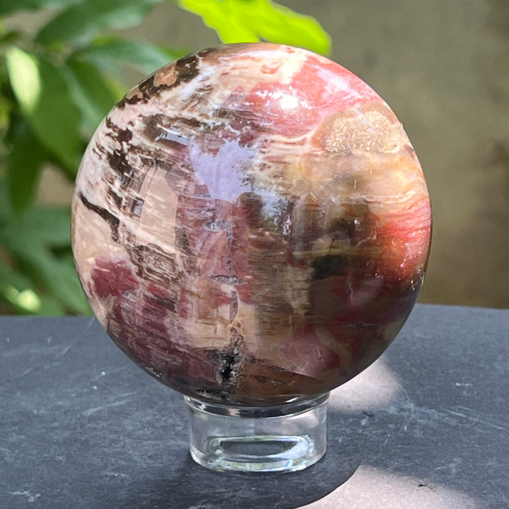 Sfera lemn pietrificat | Model 1, pietre semipretioase - druzy.ro 2 