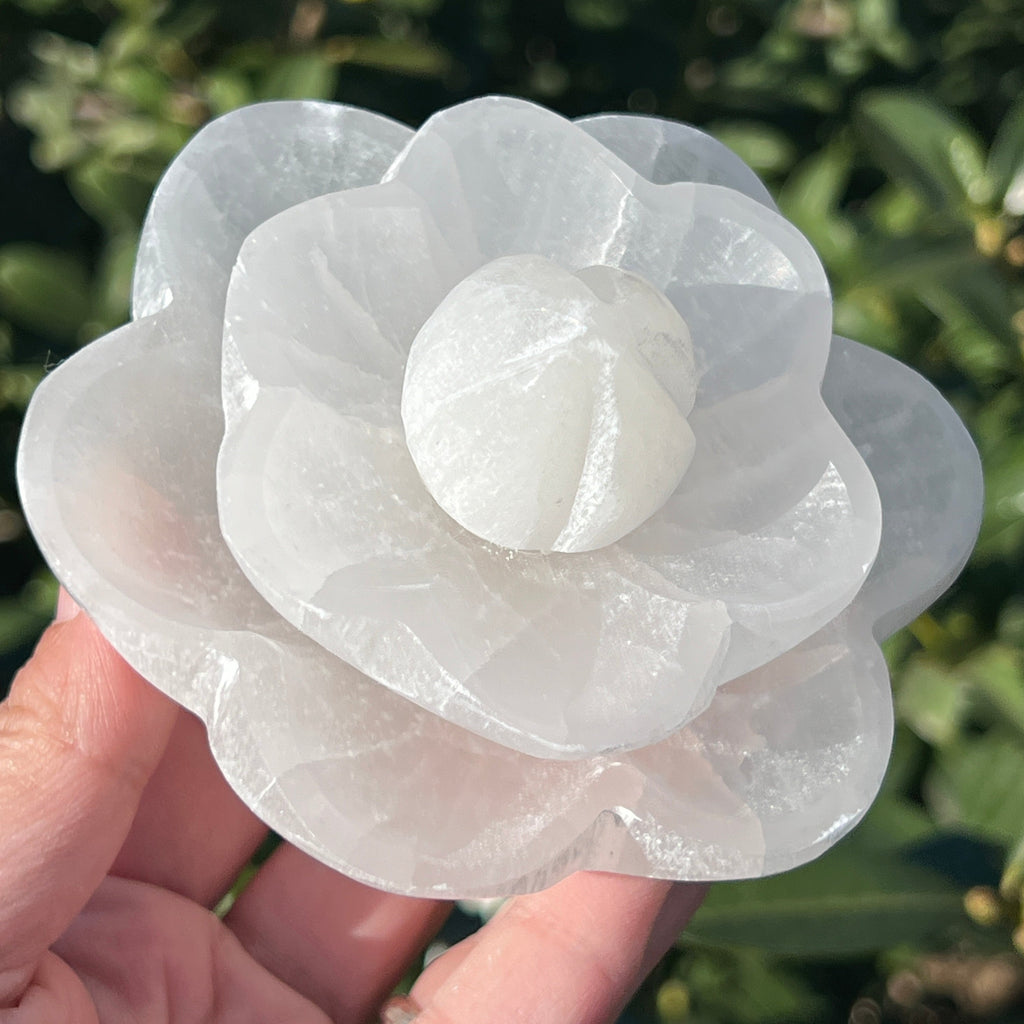 Selenit forma floare de lotus, pietre semipretioase - druzy.ro 2 