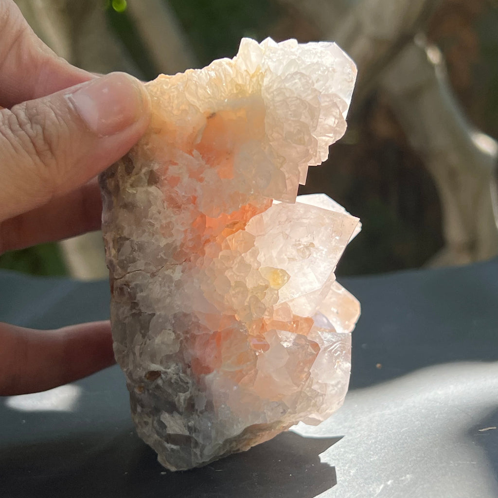 Cluster cuart cactus / cuart spirit FLOWER model F7, druzy.ro, pietre semipretioase 6