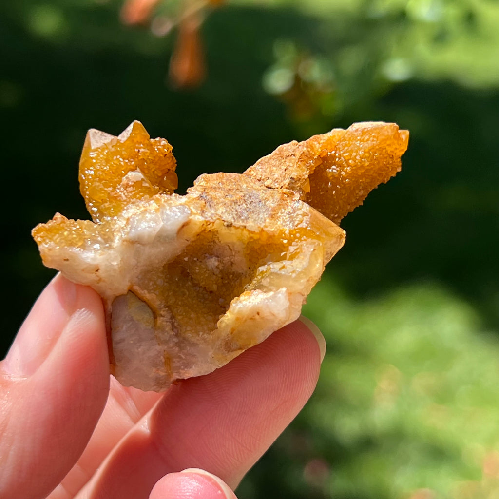 Cluster lemonit / cuart spirit solar Africa de Sud model 1, pietre semipretioase - druzy.ro 4