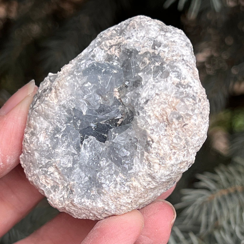 Celestit / celestina cluster m13, pietre semipretioase - druzy.ro 3 