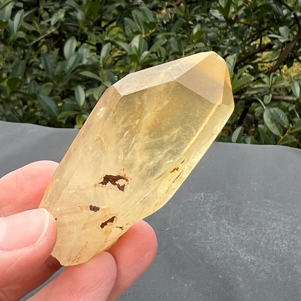 Varf citrin mina Luena, Congo model 28, pietre semipretioase - druzy.ro 4 