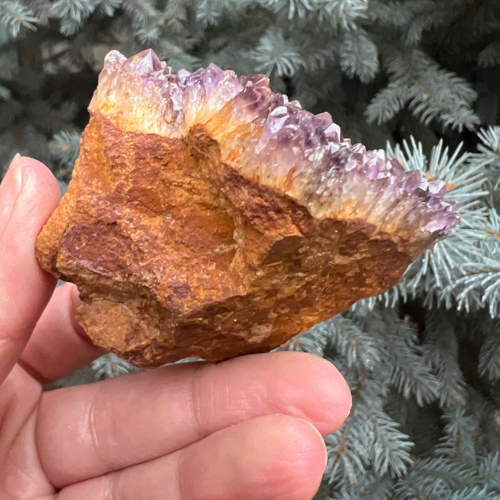 Ametist Spirit cluster Amethysos m5, druzy.ro, cristale 5