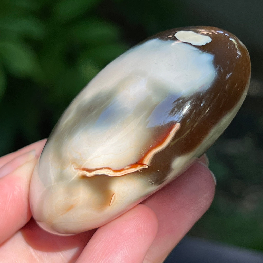 Agat Orca palmstone model 6, pietre semipretioase - druzy.ro 4 