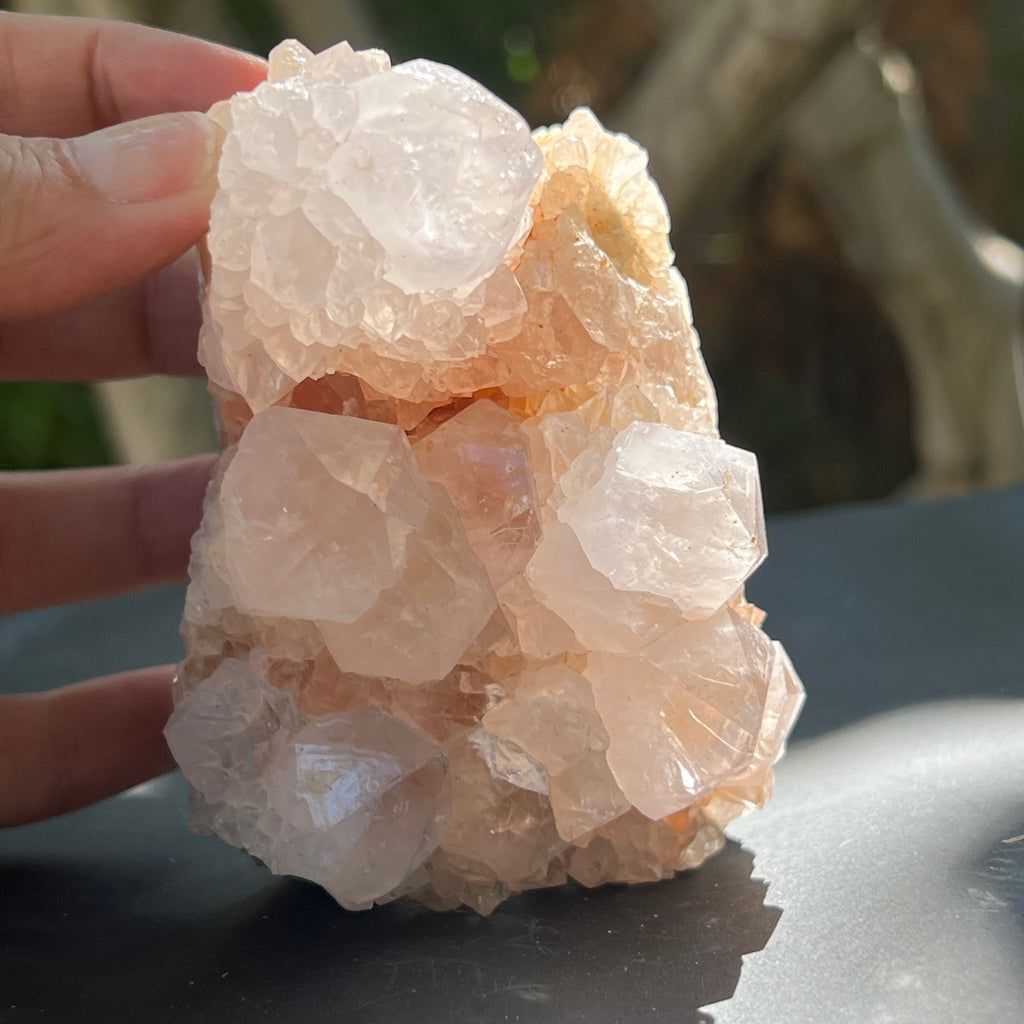 Cluster cuart cactus / cuart spirit FLOWER model F7, druzy.ro, pietre semipretioase 3