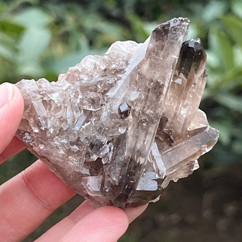 Cluster cuart fumuriu din Brazilia m6, pietre semipretioase - druzy.ro 1 