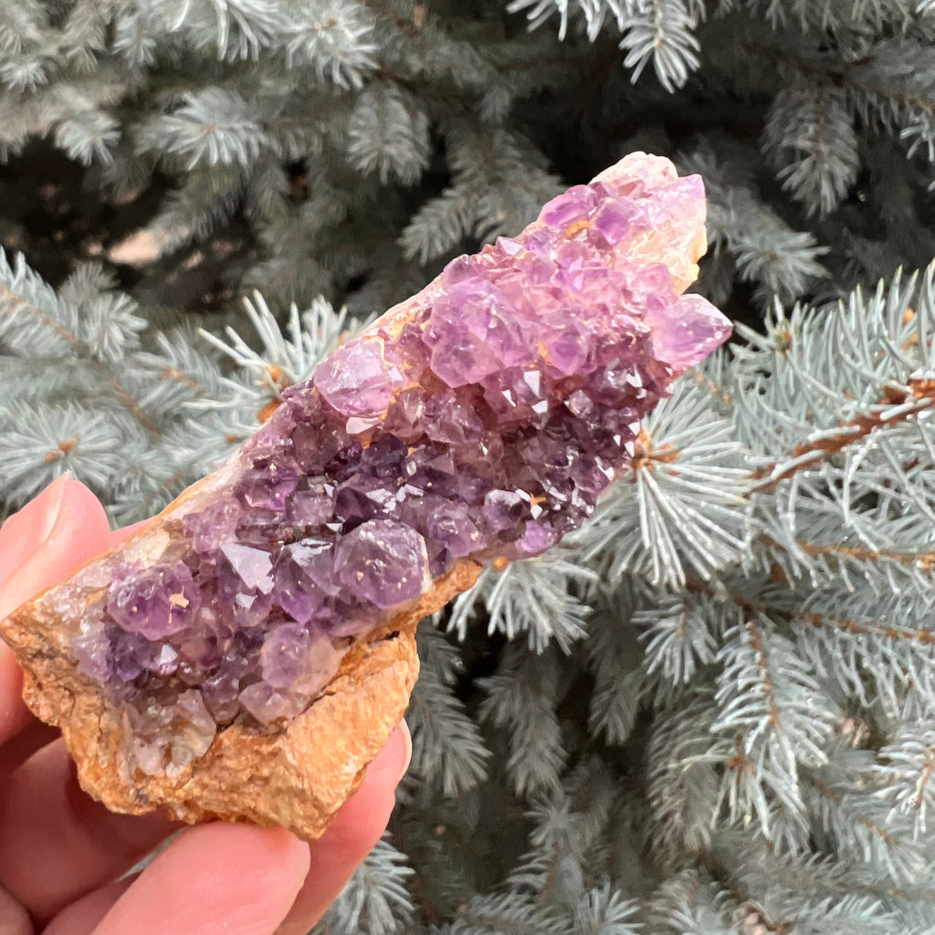 Ametist Spirit cluster Amethysos m13, druzy.ro, cristale 4