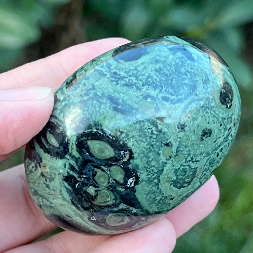 Palmstone jasp kambaba model 5, pietre semipretioase - druzy.ro 5 