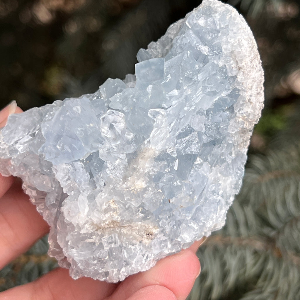 Celestit / celestina cluster m1, pietre semipretioase - druzy.ro 4 