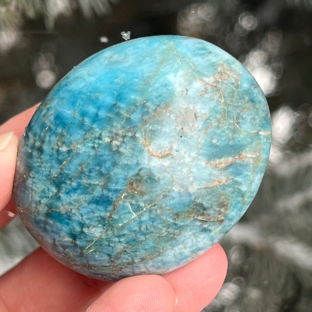 Apatit rulat palmstone model 13, pietre semipretioase - druzy.ro 1 