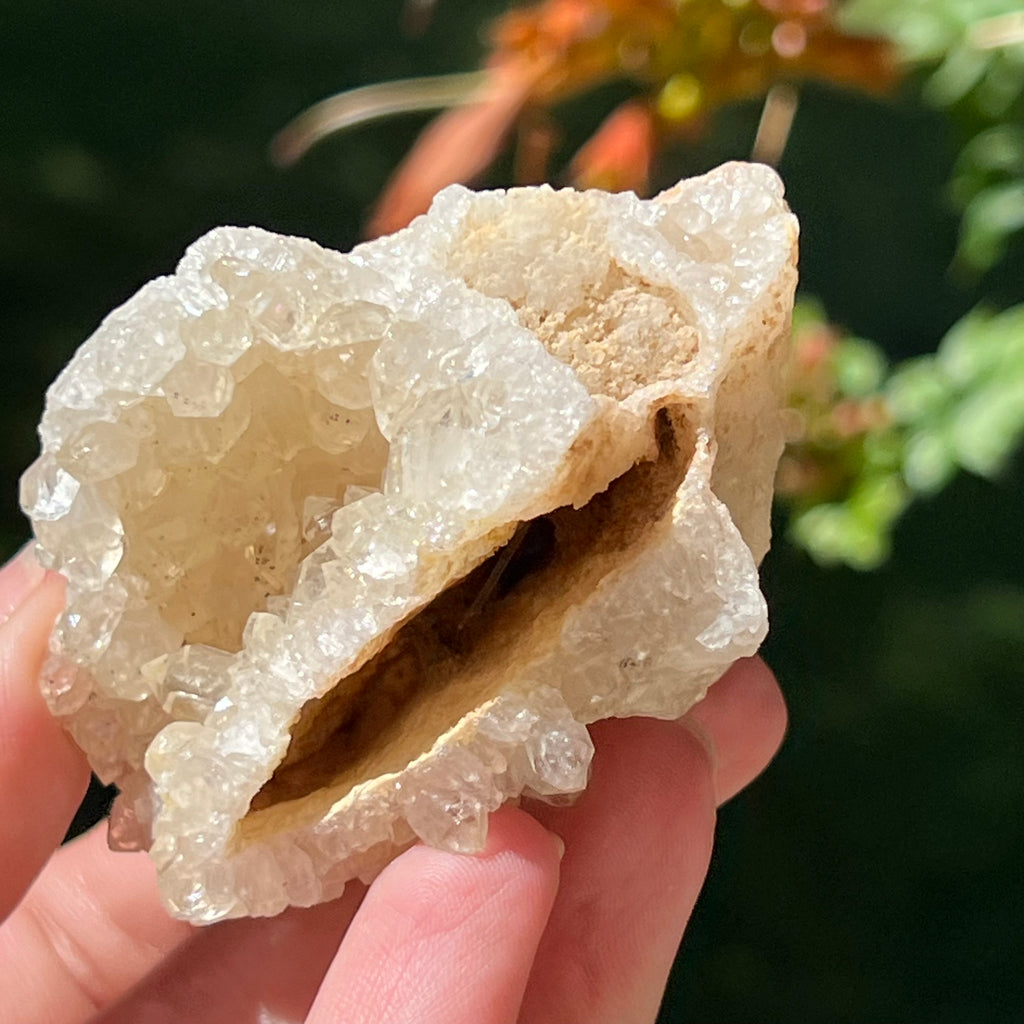 Cluster cuart lamaie Zambia, golden healer model Lm1, pietre semipretioase - druzy.ro 4