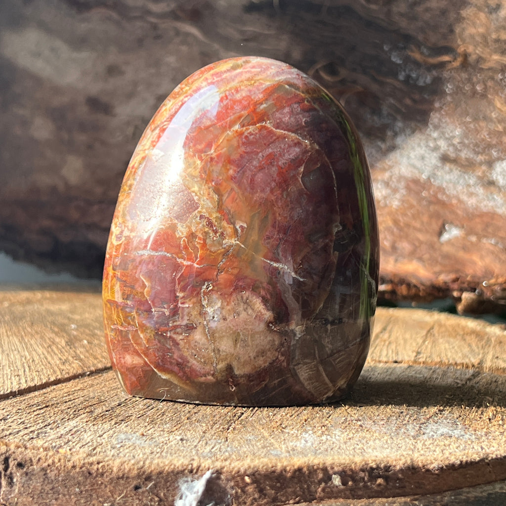 Lemn pietrificat sculptura model 3, pietre semipretioase - druzy.ro 2 