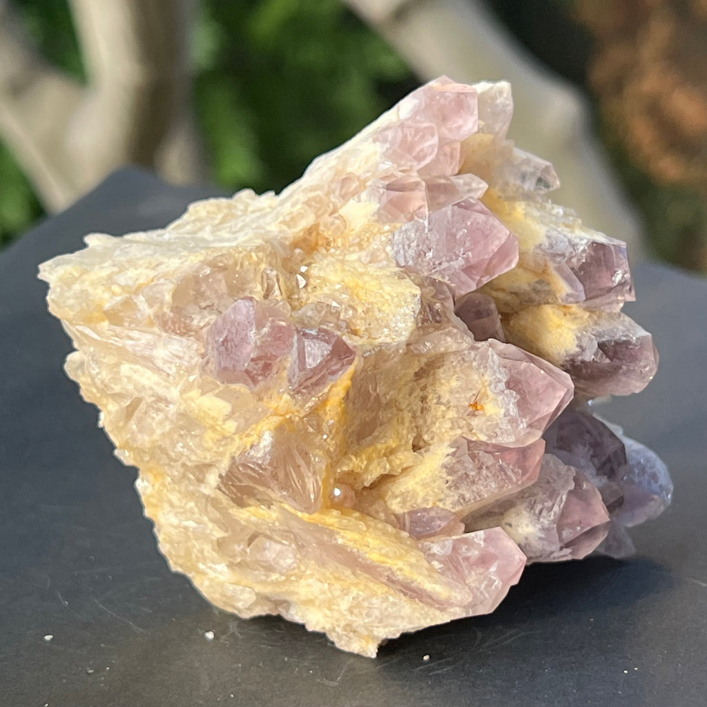 Cluster ametist sweet model 5a/3, din Zambia, pietre semipretioase - druzy.ro 6