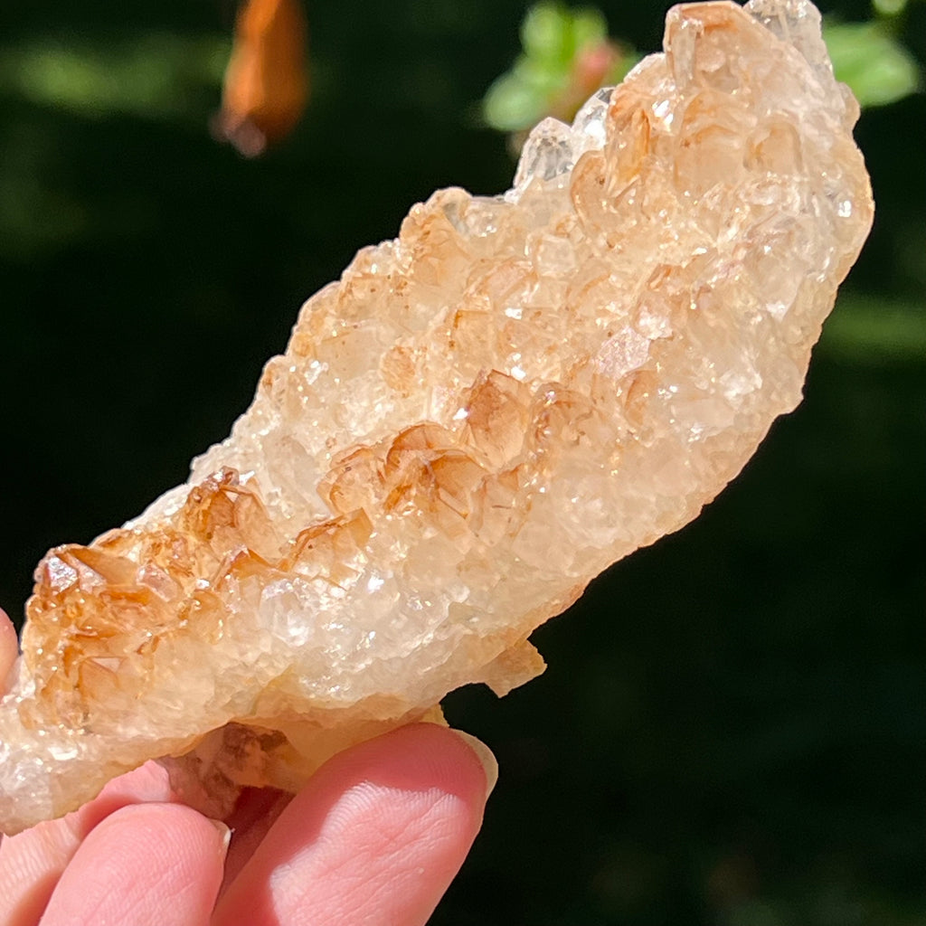 Cluster cuart lamaie Zambia, golden healer model Lm9, pietre semipretioase - druzy.ro 2