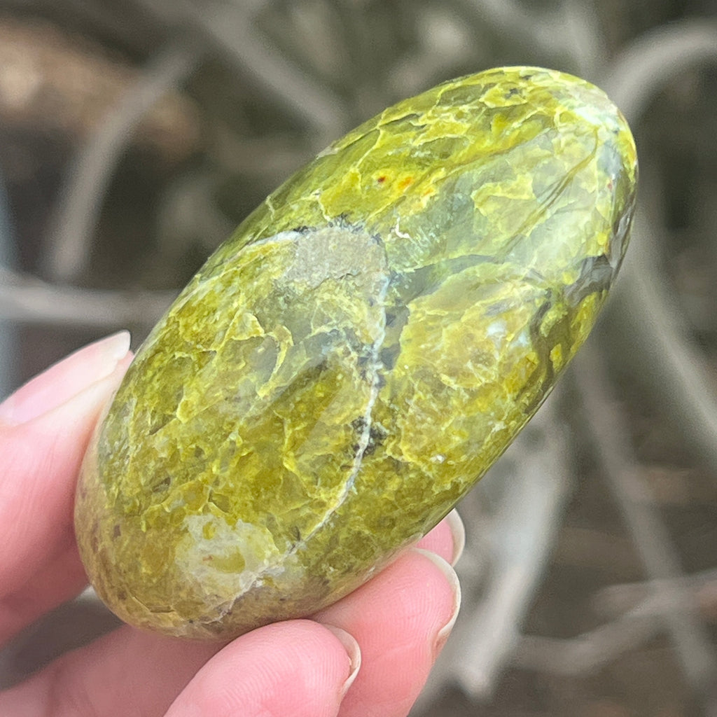 Opal verde palmstone m12, pietre semipretioase - druzy.ro 3 