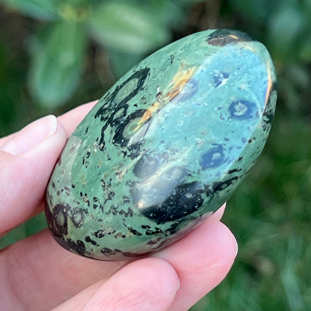 Palmstone jasp kambaba model 8, pietre semipretioase - druzy.ro 3 