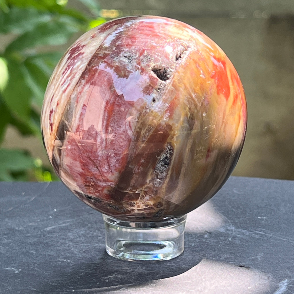 Sfera lemn pietrificat | Model 1, pietre semipretioase - druzy.ro 4 