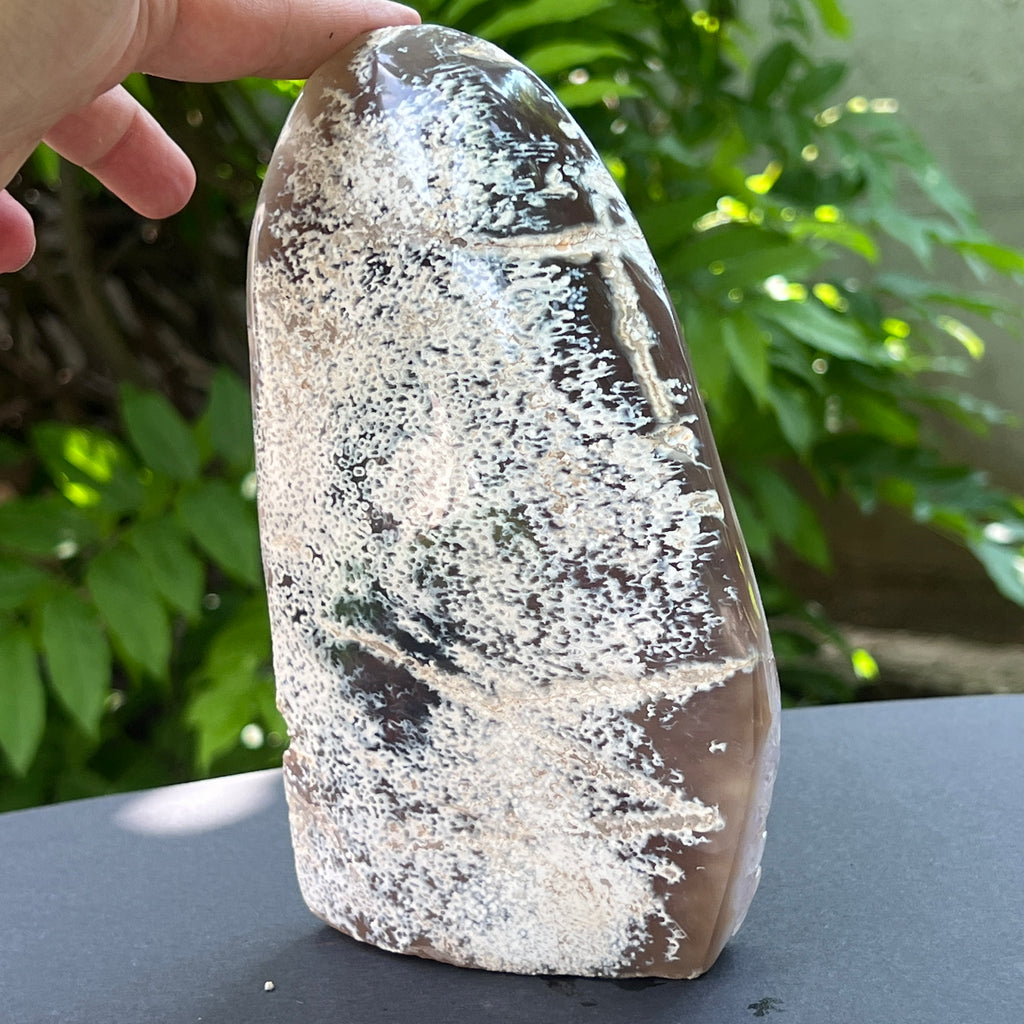 Geoda agat ametist model 11, pietre semipretioase - druzy.ro 3 