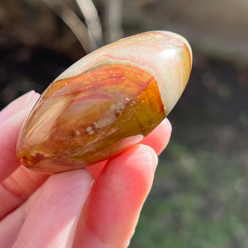 Jasp policrom palmstone m10, druzy.ro, cristale 5
