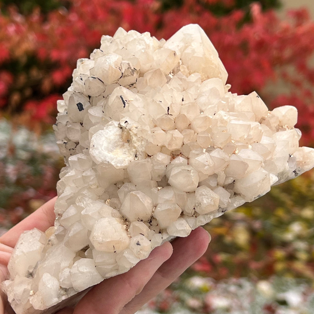 Cluster cuart ananas, cuart de stanca din Madagascar model 7, druzy.ro, cristale 6