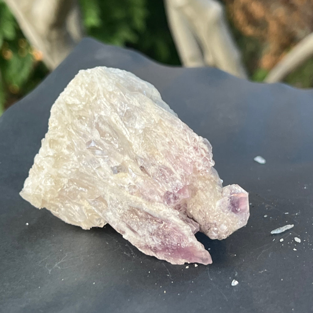 Cluster ametist sweet model 5a/7, din Zambia, druzy.ro, cristale 1
