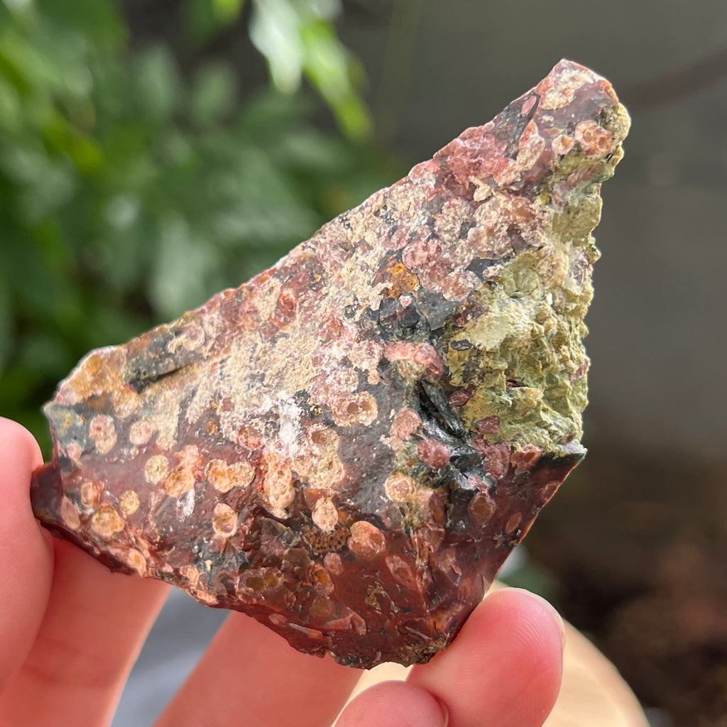 Sardonix India piatra bruta m12, pietre semipretioase - druzy.ro 5 