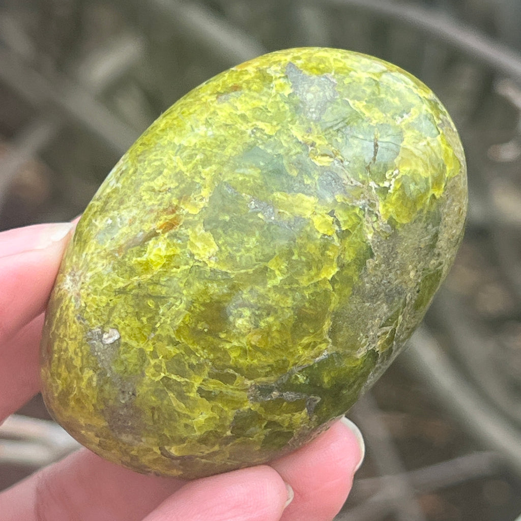 Opal verde palmstone m11, pietre semipretioase - druzy.ro 1 