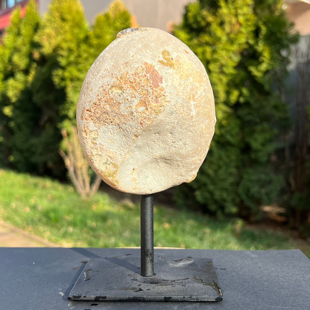 Geoda agat stand model 3, druzy.ro, cristale 3