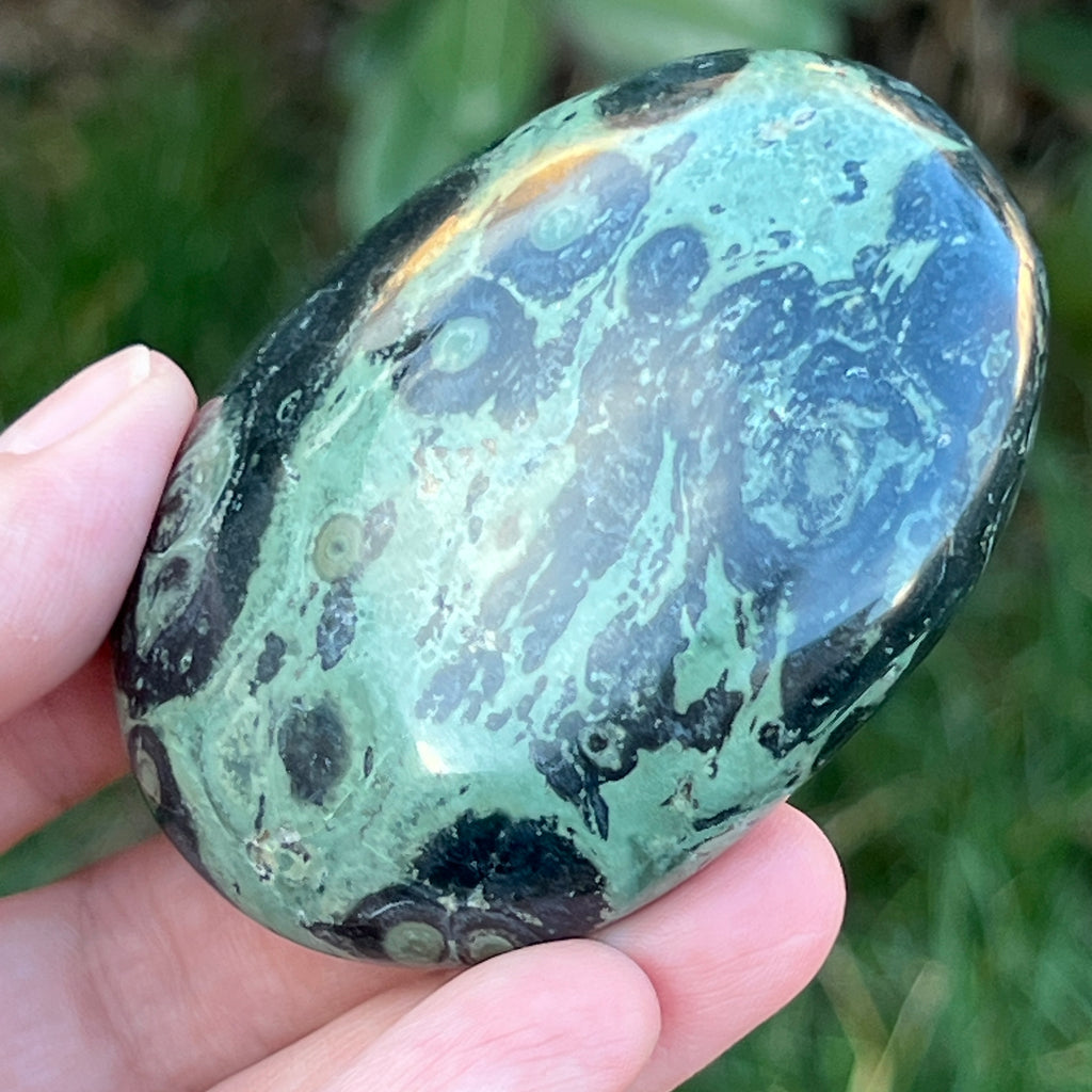 Palmstone jasp kambaba model 9, pietre semipretioase - druzy.ro 3 