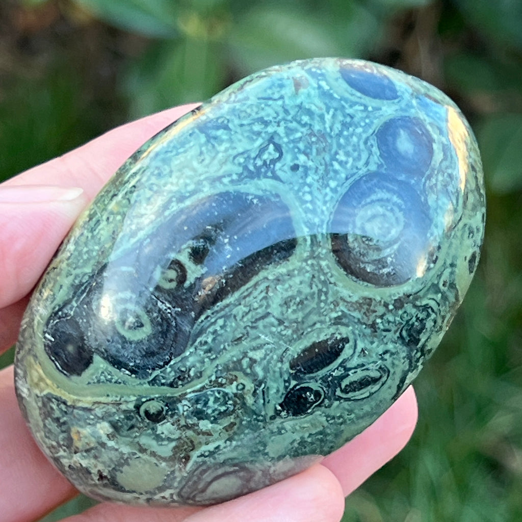 Palmstone jasp kambaba model 10, pietre semipretioase - druzy.ro 2 