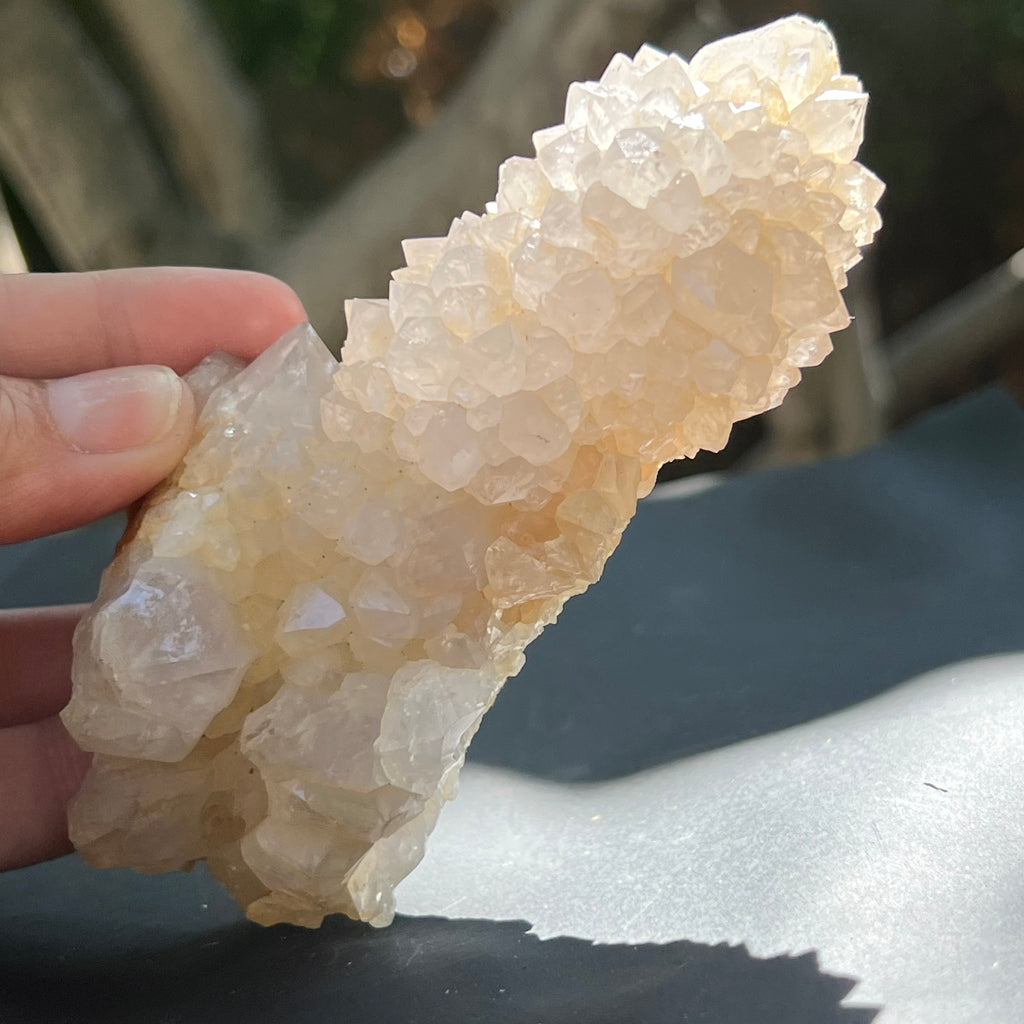 Cluster cuart cactus / cuart spirit FLOWER model F5, druzy.ro, pietre semipretioase 7
