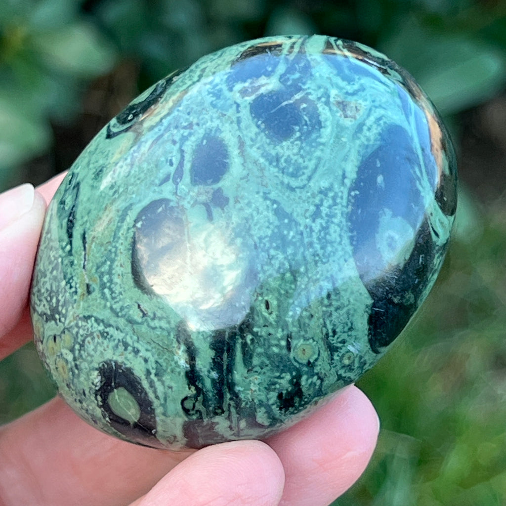 Palmstone jasp kambaba model 5, pietre semipretioase - druzy.ro 3 