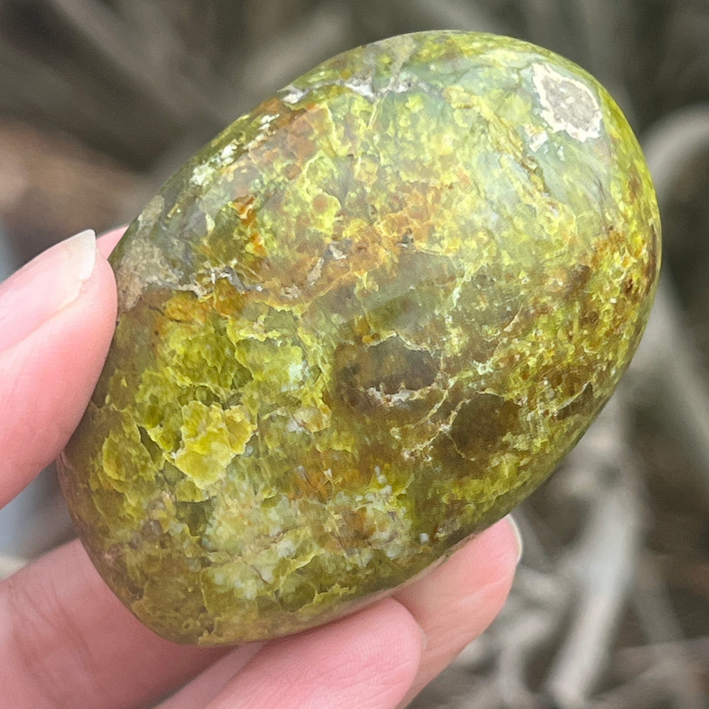 Opal verde palmstone m11, pietre semipretioase - druzy.ro 4 