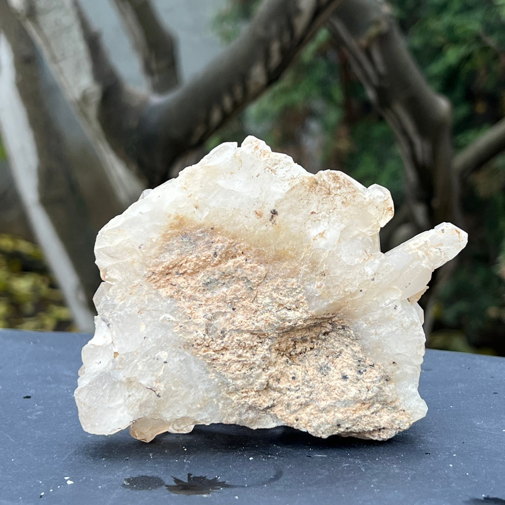 Cluster cuart incolor, floare de mina, cristal de stanca Zimbabwe m2, druzy.ro, cristale 2