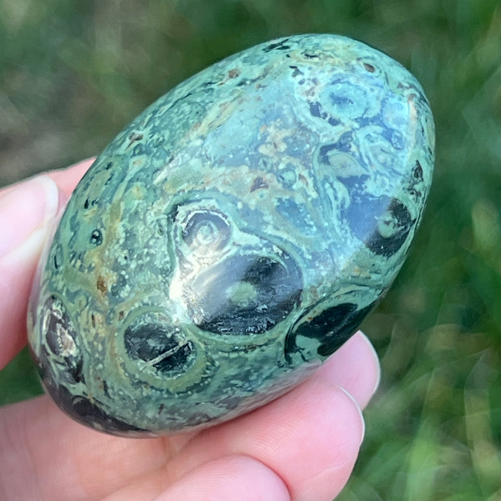 Palmstone jasp kambaba model 4, pietre semipretioase - druzy.ro 6 