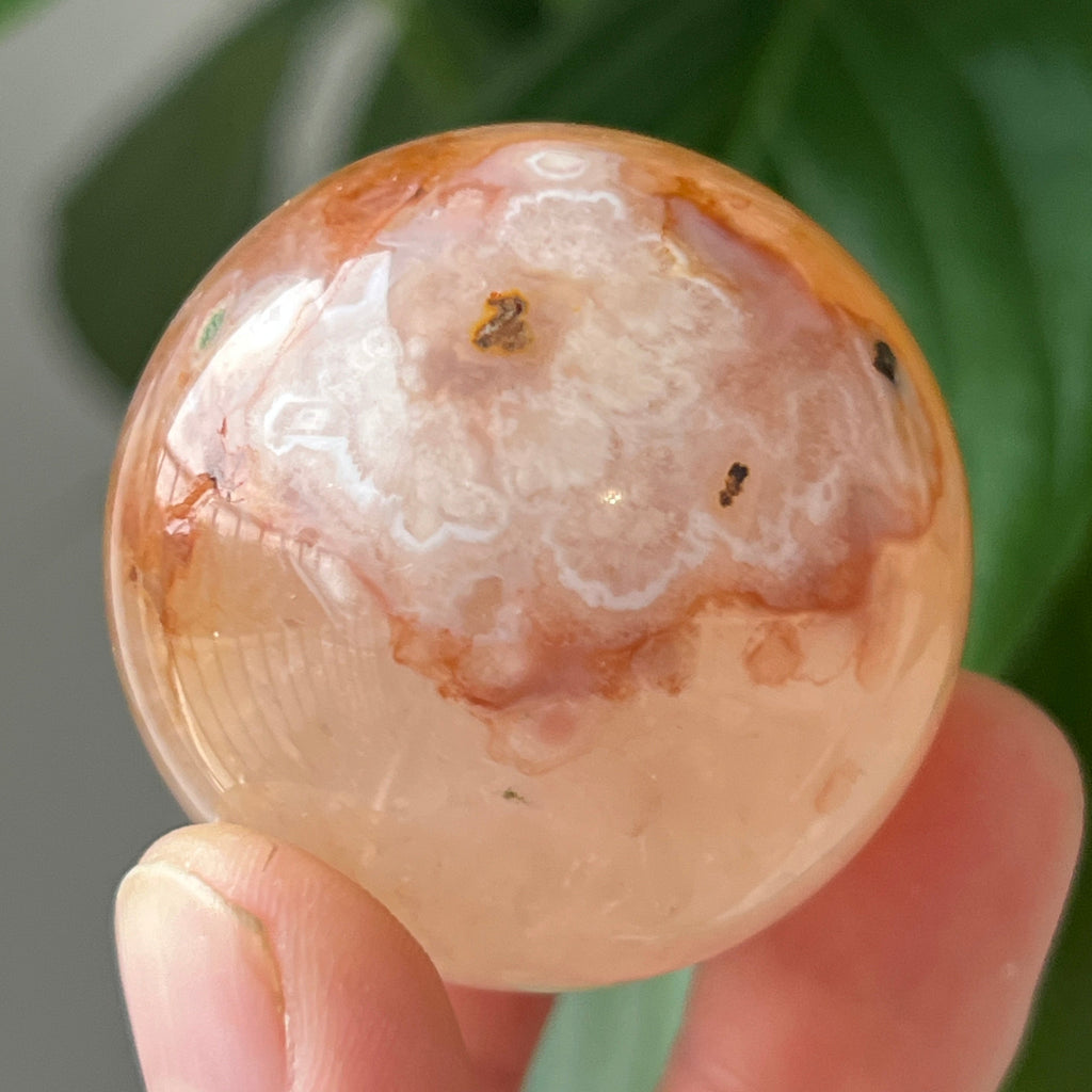 Sfera Agat coral floare din Madagascar model 3, pietre semipretioase - druzy.ro 1 