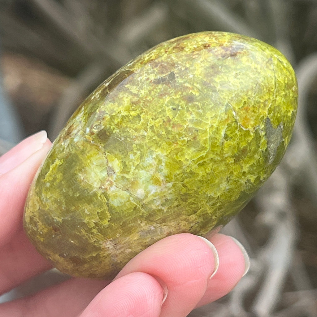 Opal verde palmstone m11, pietre semipretioase - druzy.ro 7 