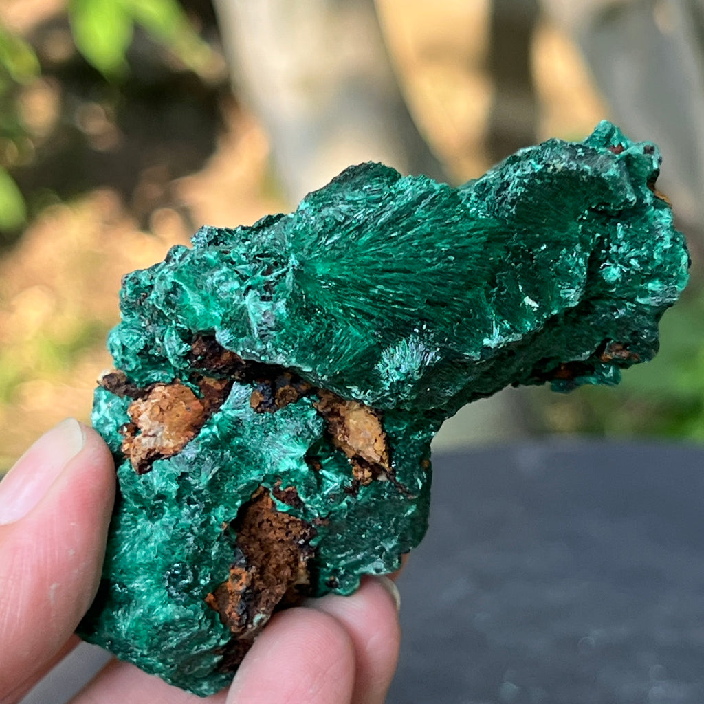 Malachit matasos piatra bruta m17, pietre semipretioase - druzy.ro 4 