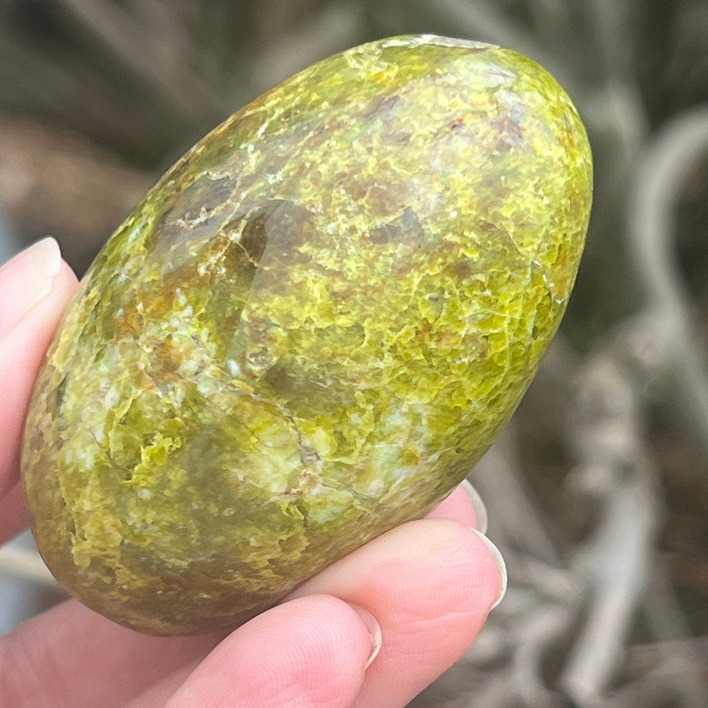 Opal verde palmstone m11, pietre semipretioase - druzy.ro 8 