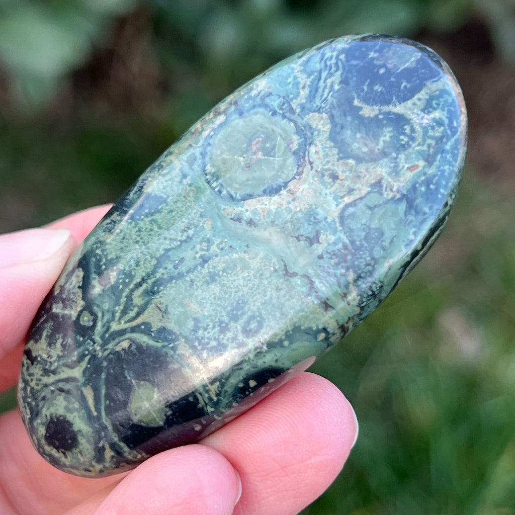 Palmstone jasp kambaba model 1, pietre semipretioase - druzy.ro 4 