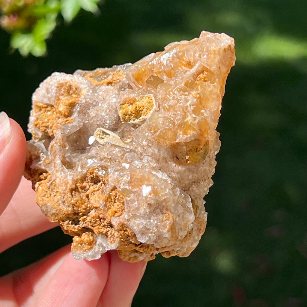Cluster cuart lamaie Zambia, golden healer model Lm3, pietre semipretioase - druzy.ro 4