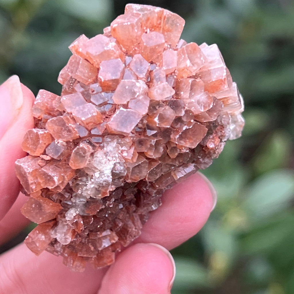 Cluster cristal aragonit din Maroc model L2, pietre semipretioase - druzy.ro 7 