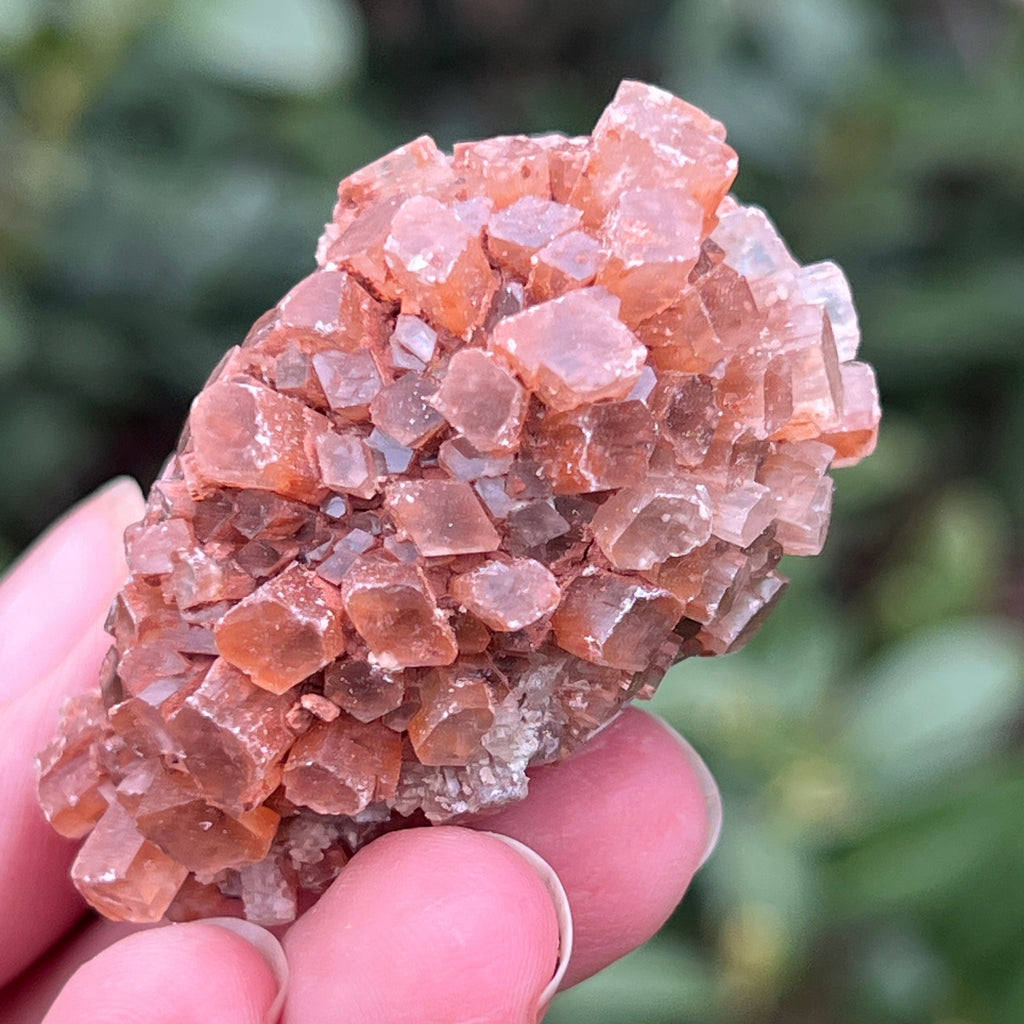 Cluster cristal aragonit din Maroc model L2, pietre semipretioase - druzy.ro 3 