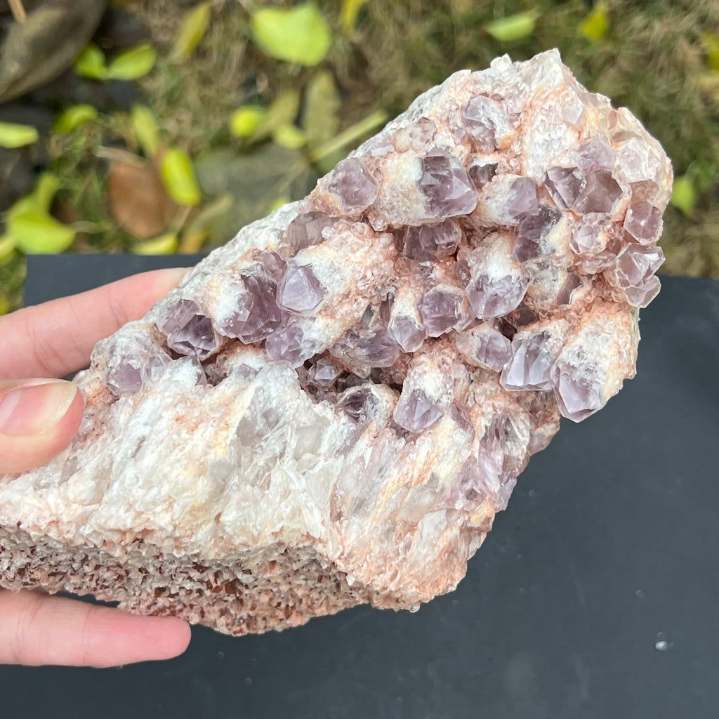 Cluster ametist sweet model 3 din Zambia, druzy.ro, cristale 2