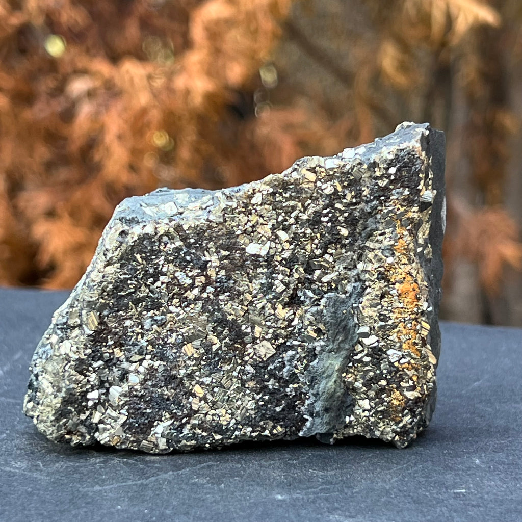 Shungit cu pirita model 11, druzy.ro, cristale 5