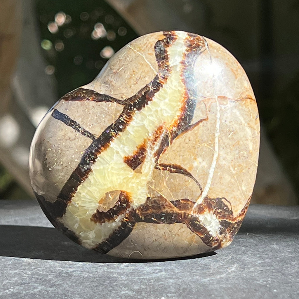 Inima septaria XL model 3, druzy.ro, cristale 4