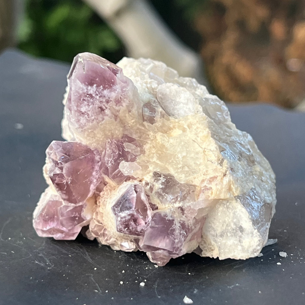 Cluster ametist sweet model 5a/8, din Zambia, pietre semipretioase - druzy.ro 1